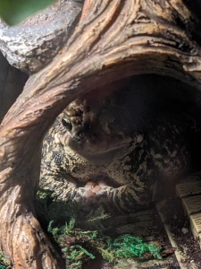 Hey guys i m very sorry about not streaming yesterday i had plans part 2