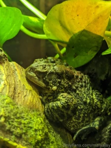 Hey guys i m very sorry about not streaming yesterday i had plans part 3