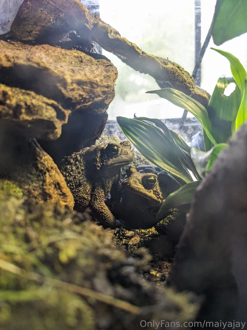 Hey guys i m very sorry about not streaming yesterday i had plans part 4 