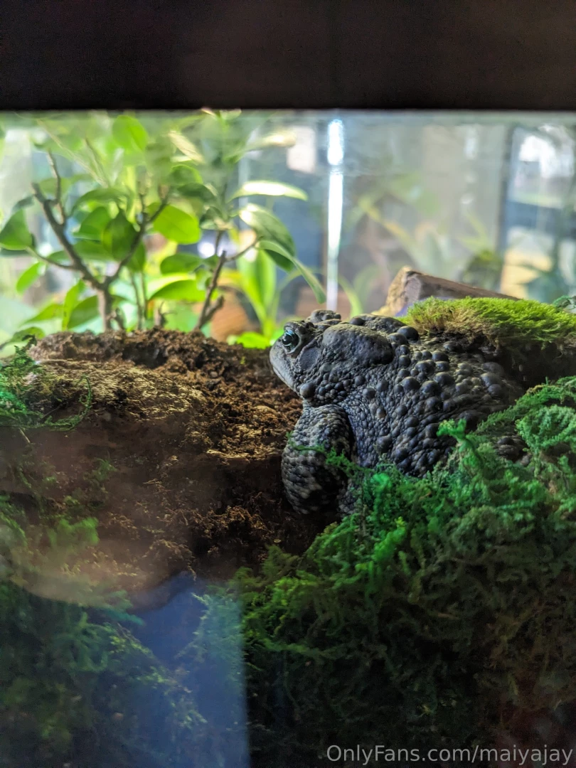 Hey guys i m very sorry about not streaming yesterday i had plans part 5 