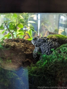 Hey guys i m very sorry about not streaming yesterday i had plans part 5