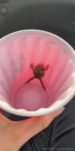 Hey guys i m very sorry about not streaming yesterday i had plans part 6