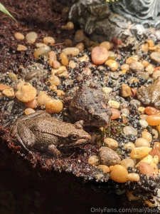 Hey guys i m very sorry about not streaming yesterday i had plans part 7