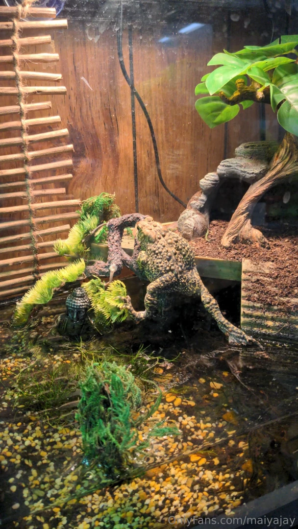 Hey guys i m very sorry about not streaming yesterday i had plans part 8 