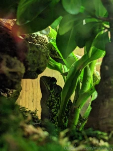 Hey guys i m very sorry about not streaming yesterday i had plans part 9