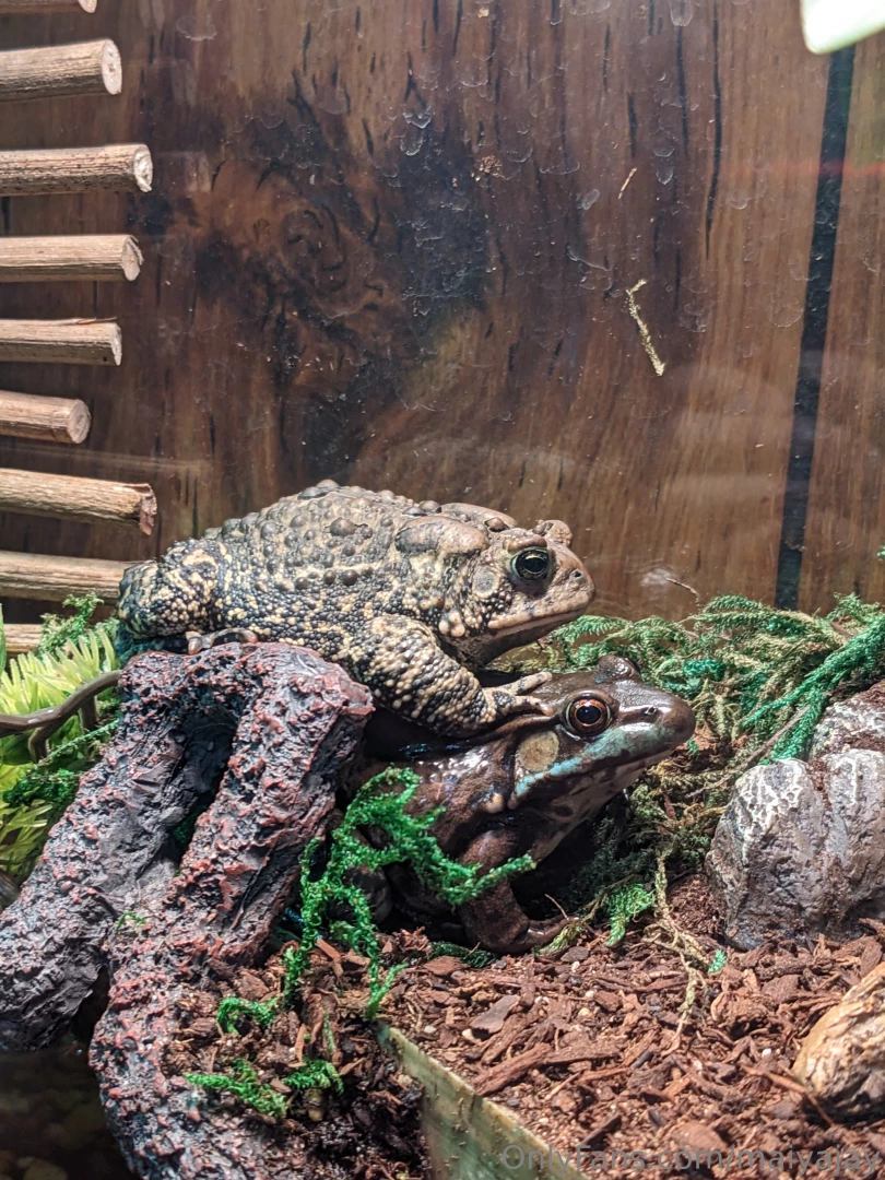 Hey guys i m very sorry about not streaming yesterday i had plans part 10 