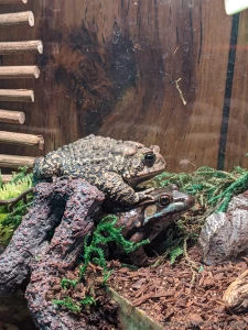 Hey guys i m very sorry about not streaming yesterday i had plans part 10