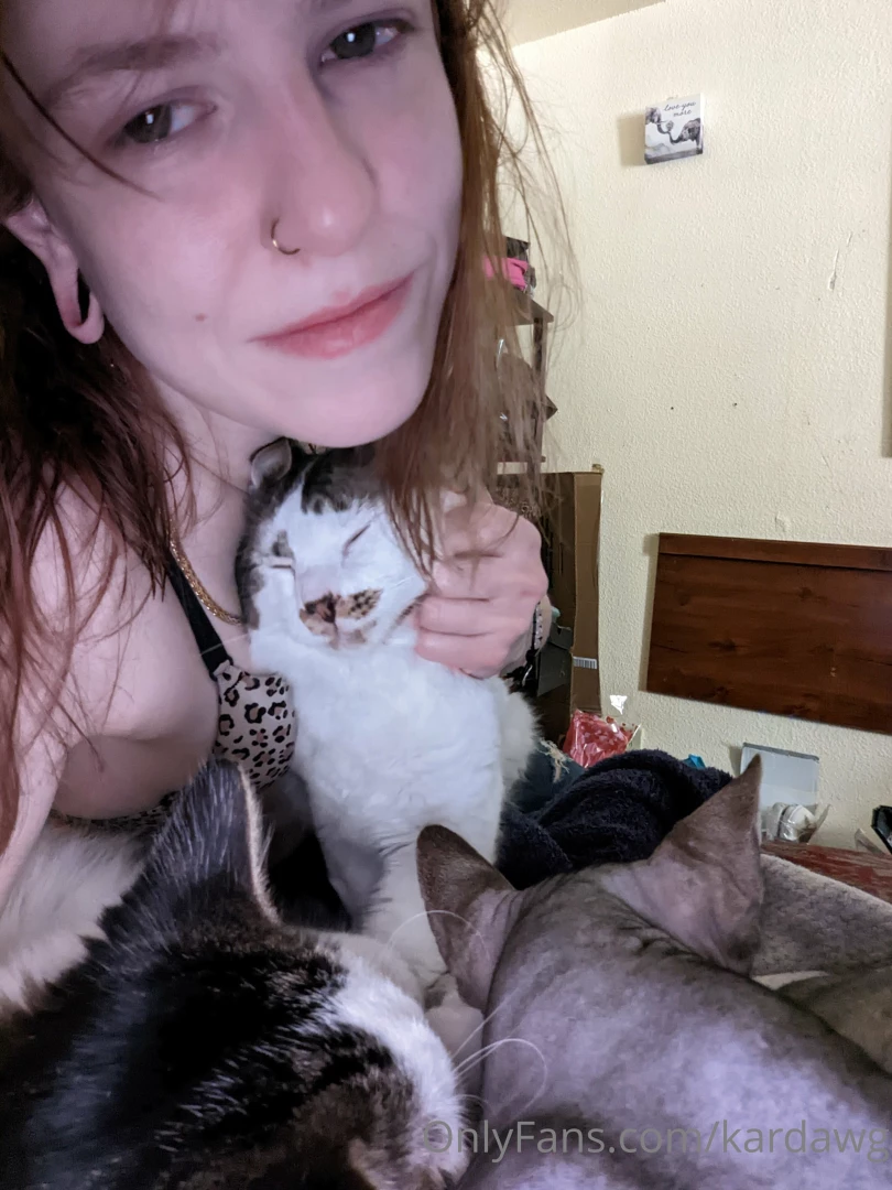 3 of 4 kitler katnoff and walter part 2 