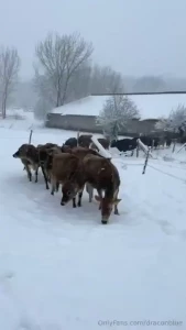 Happy friday part 3139