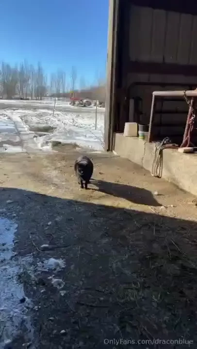 Happy friday part 3156 