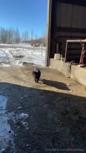 Happy friday part 3156