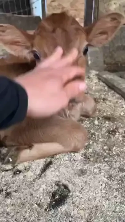 Happy friday part 3149 