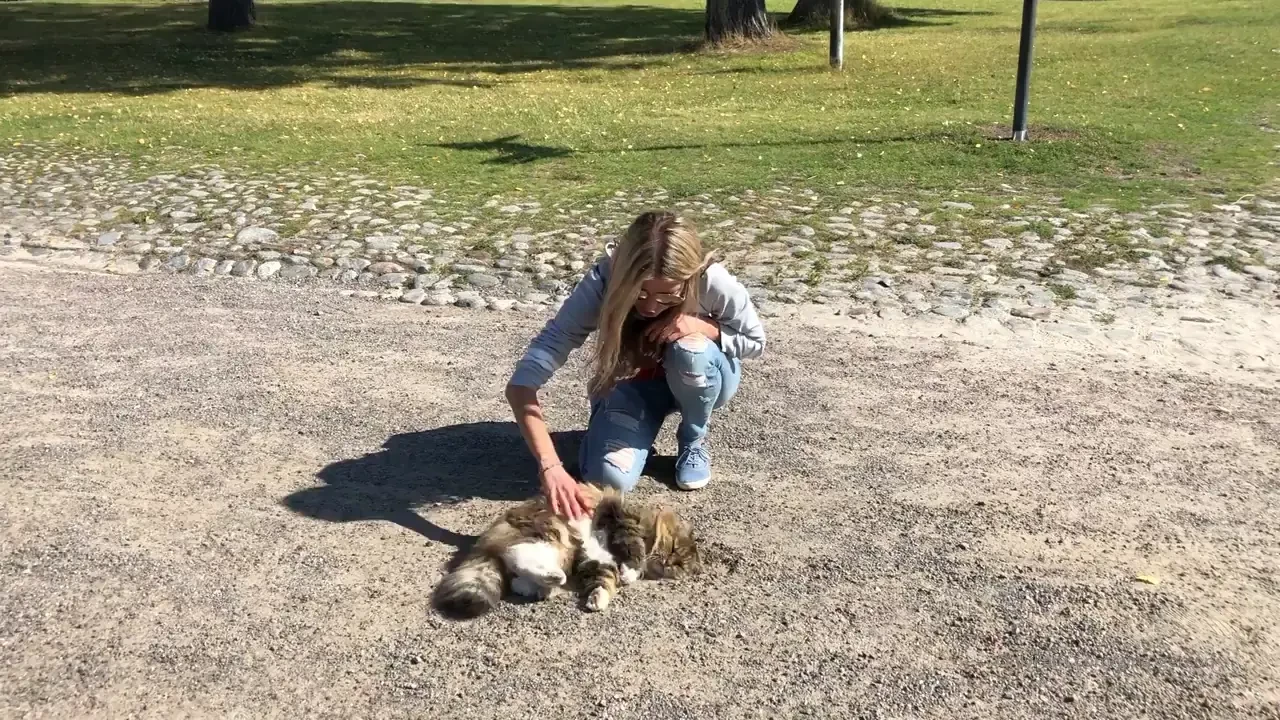 Let s play part 1676 