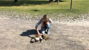 Let s play part 1676