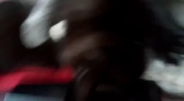 Morning fighting play baby demon and big mama demon 