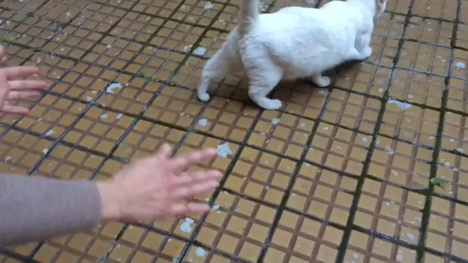 Gina_gerson1 part 50 