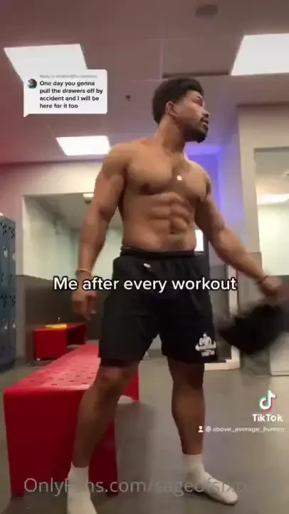 These boxers are for sale 