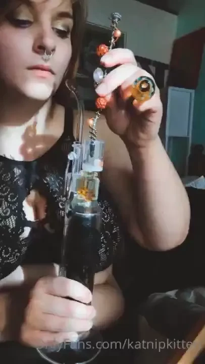 Hey alley cat miss me sorry i ve been away i had a little mousey i 