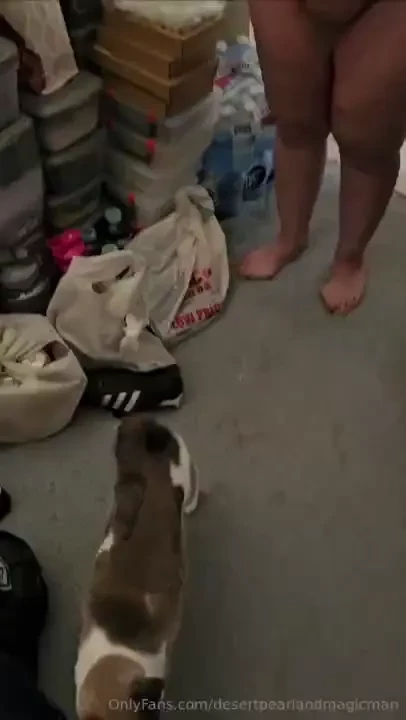 Of course magic man records this 