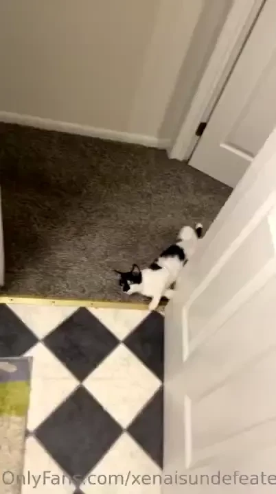 Some filler content while i figure out what to post suggestions part 1 