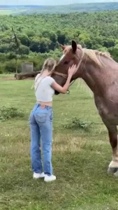 Saddle up it s going to be a wild ride