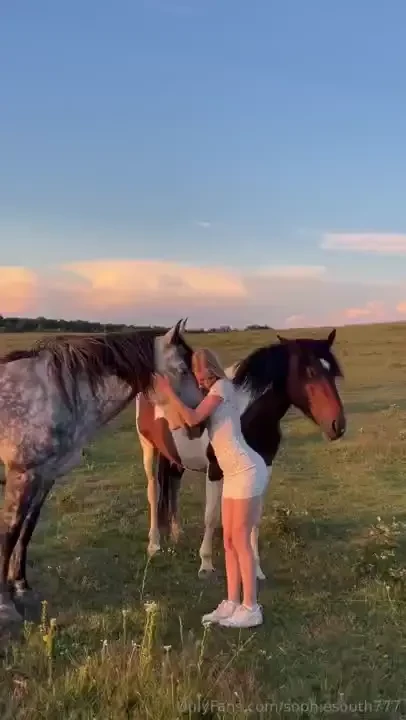 Neigh-saying all the stress away 