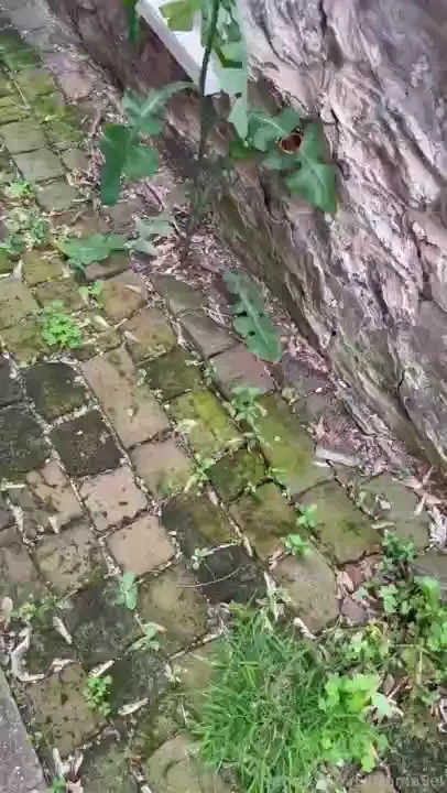 Amp amp outdoors fairygarden magicial goddess witch spiritual 