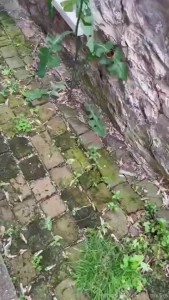 Amp amp outdoors fairygarden magicial goddess witch spiritual