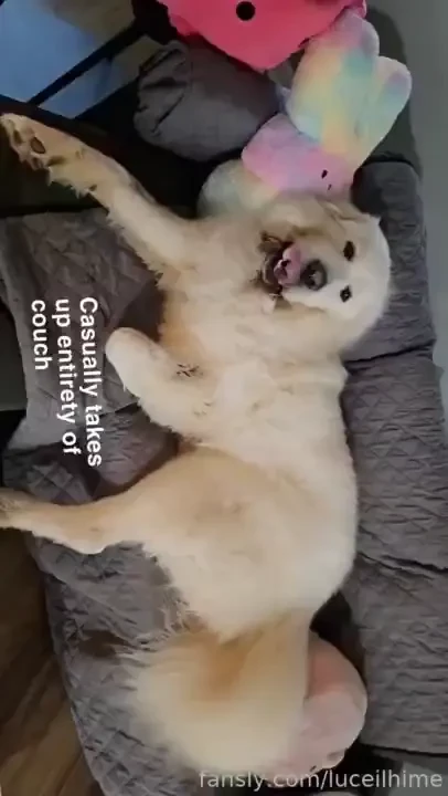 Little summary of what s been going on in my life lately in case 