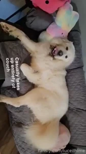 Little summary of what s been going on in my life lately in case