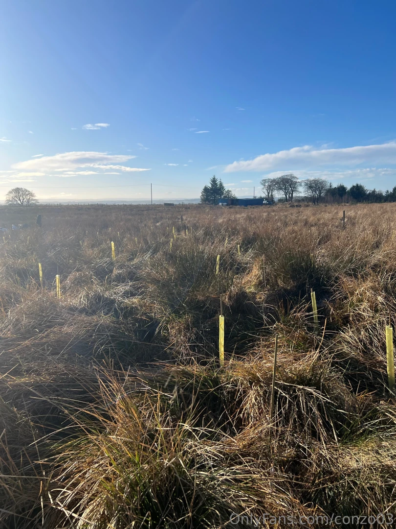 That s the trees planted got around 700 done and in the ground please 