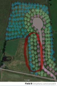 Little charity update today we planted over 500 trees and next week