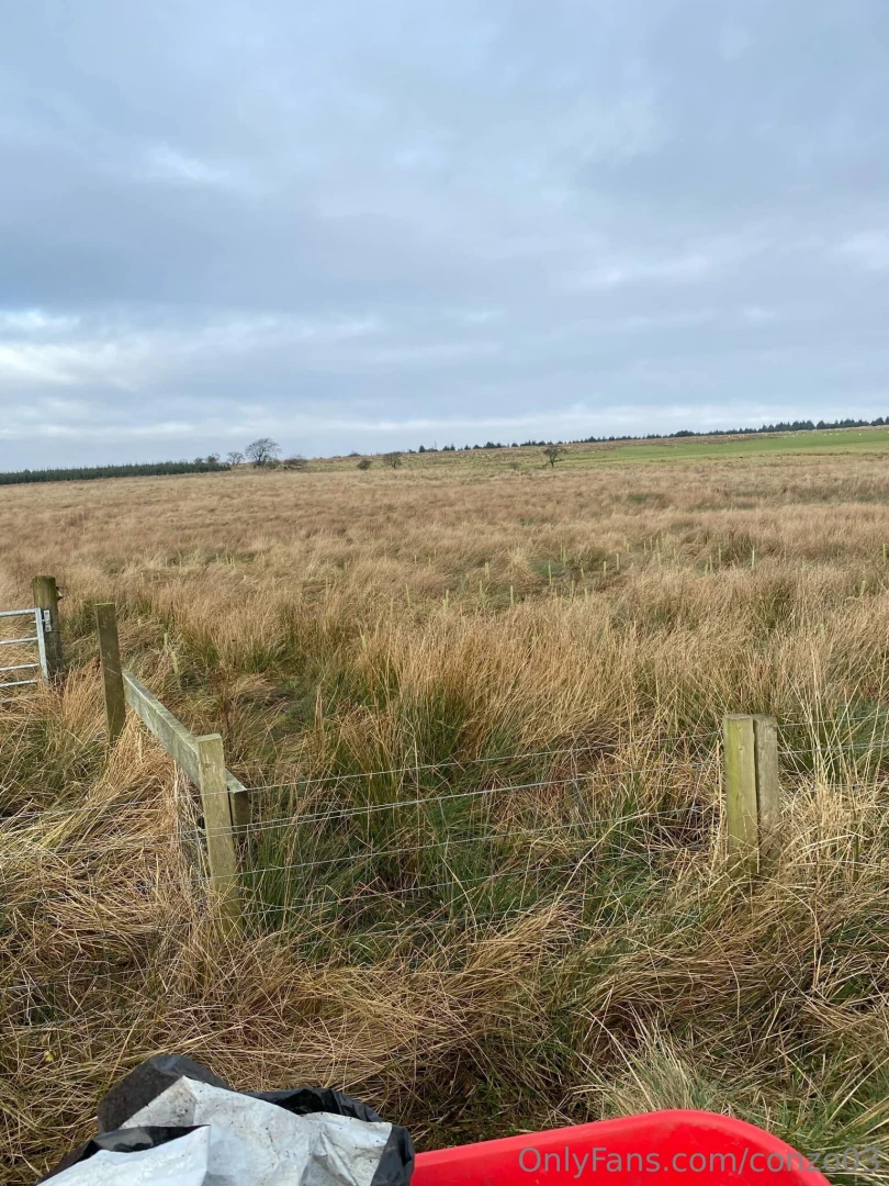 Little charity update today we planted over 500 trees and next week part 1 