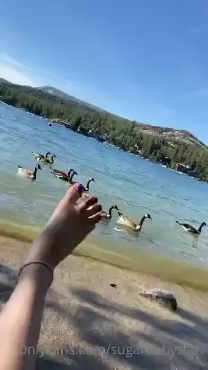 Short vids and pics from the lake yesterday part 2 