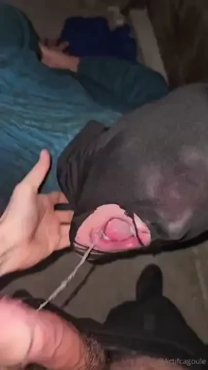 02 23 ce vendredi soir j tais en chien cette ch enne de passage a 