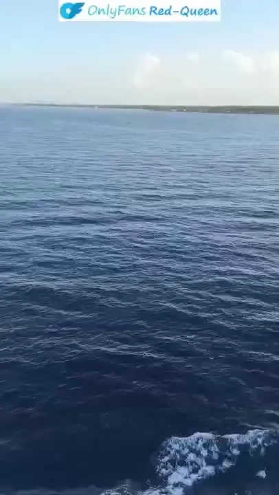 New short video release cruise to the bahamas 