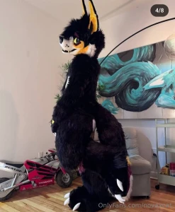 Little inside everybody got a fullsuit with some special hidden part 2