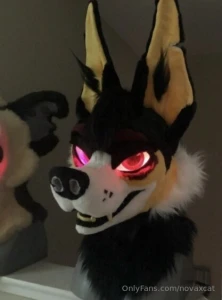 Little inside everybody got a fullsuit with some special hidden part 1