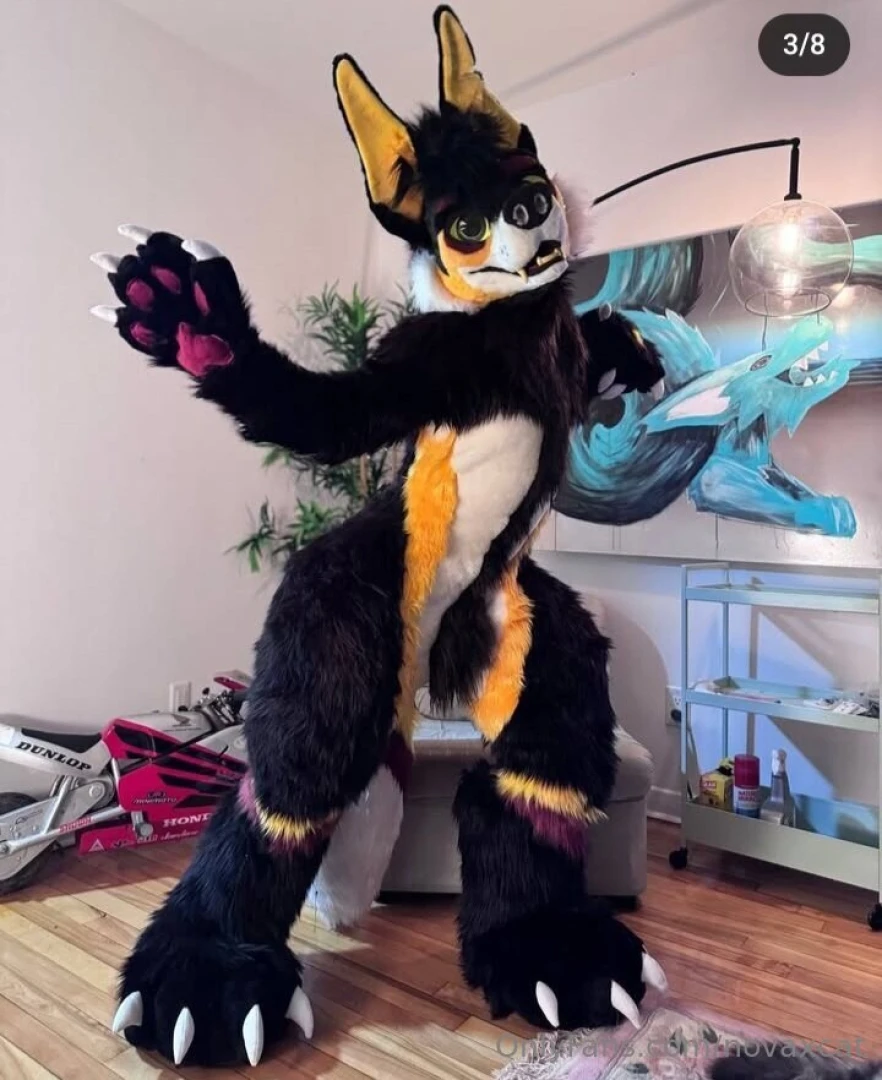 Little inside everybody got a fullsuit with some special hidden 