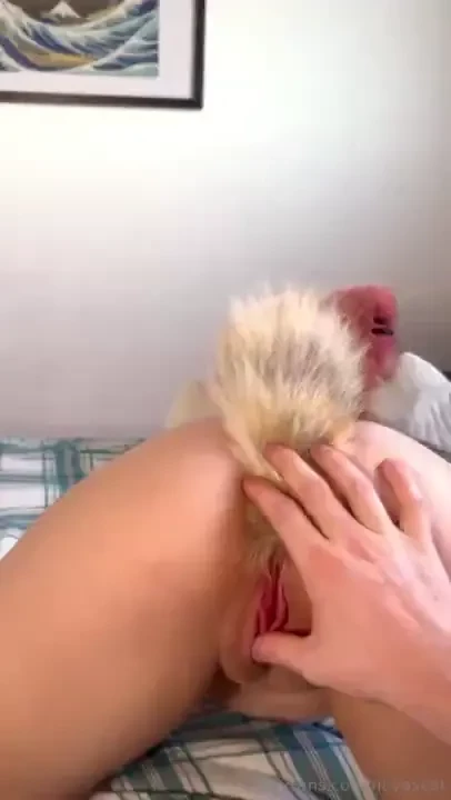 I need a breeding right now 