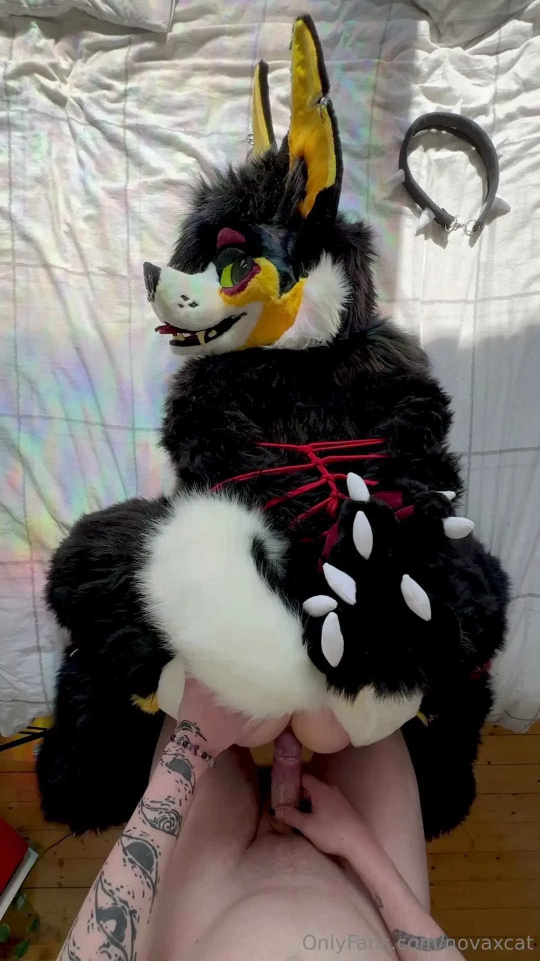 Watch me being tied up and getting used 