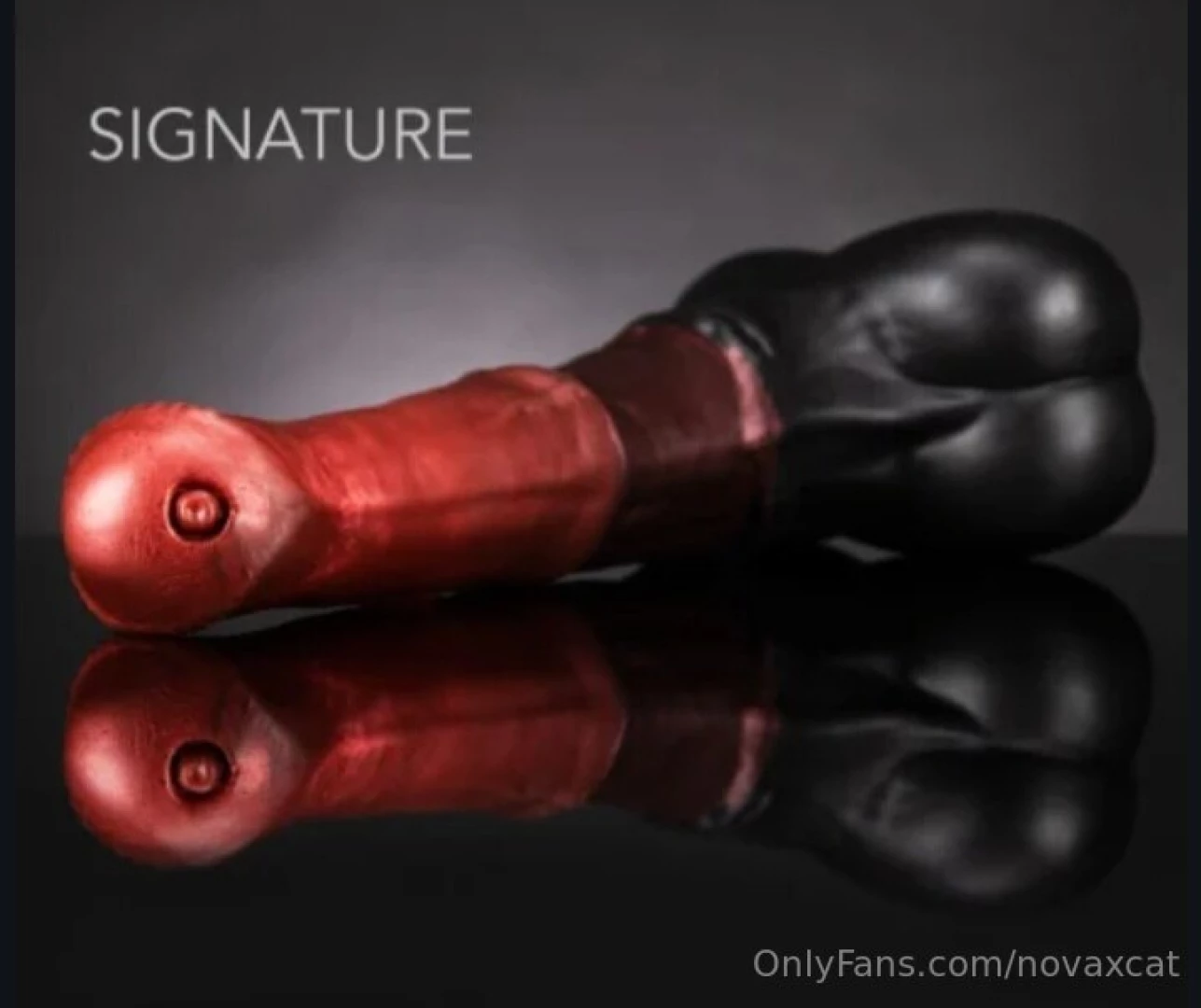 Which horse toy should i get for future content 