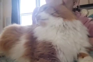 He s a bit of a camera hog