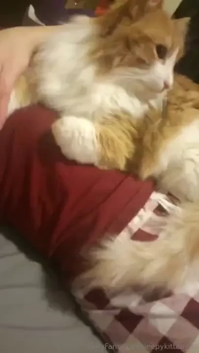 Let me play with your hair as we snuggle in bed 