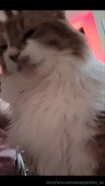 Everyone loves morning pets 