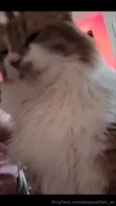 Everyone loves morning pets