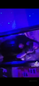 I ll be making more videos like this one in the future so hopefully