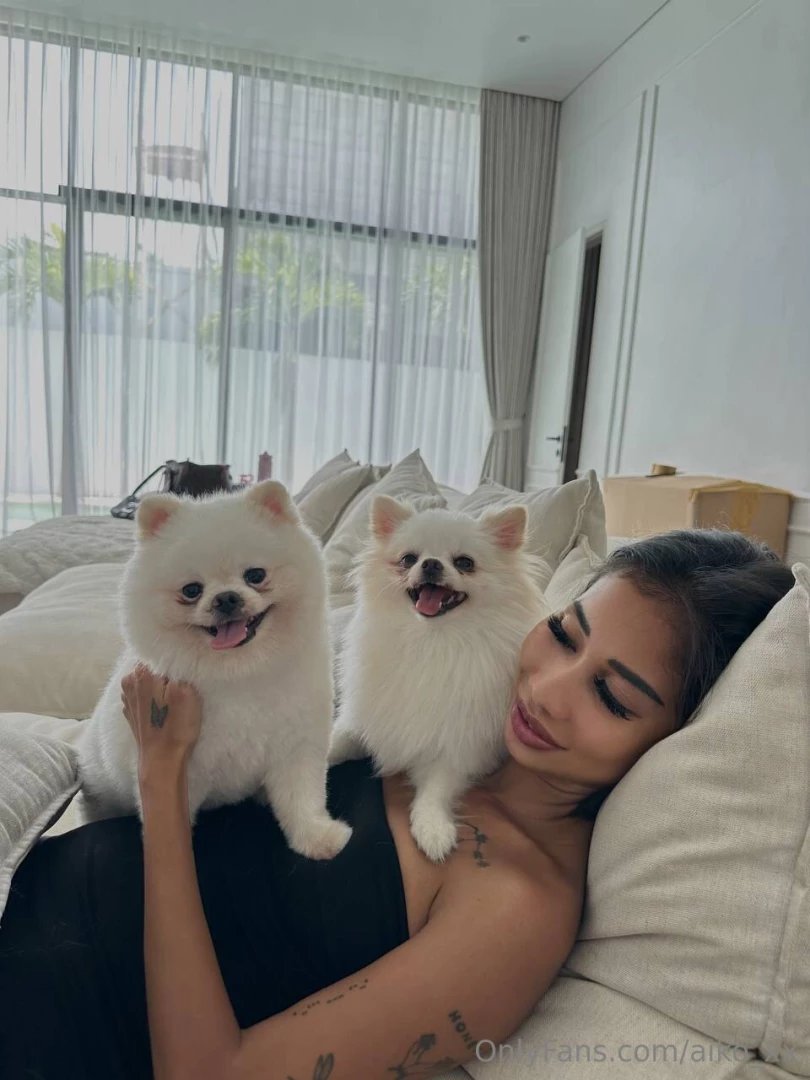 Had some fluffy guests over today i love animals but only for a short 