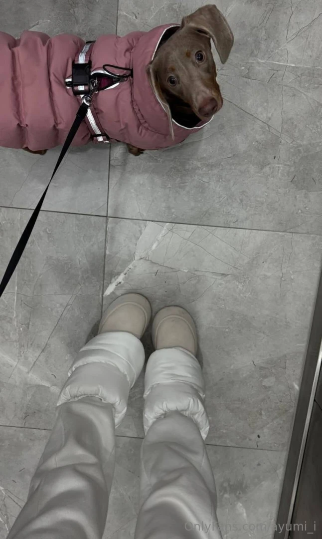 Winter morning walks look just like this a very warm look for everyone 