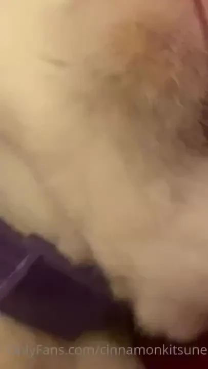 Here s a cat happily purring i hope it brightens up your day i m 